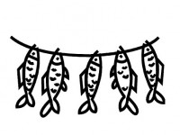fish drawing