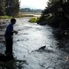 Rob AK Boy catching sockeye in Craig